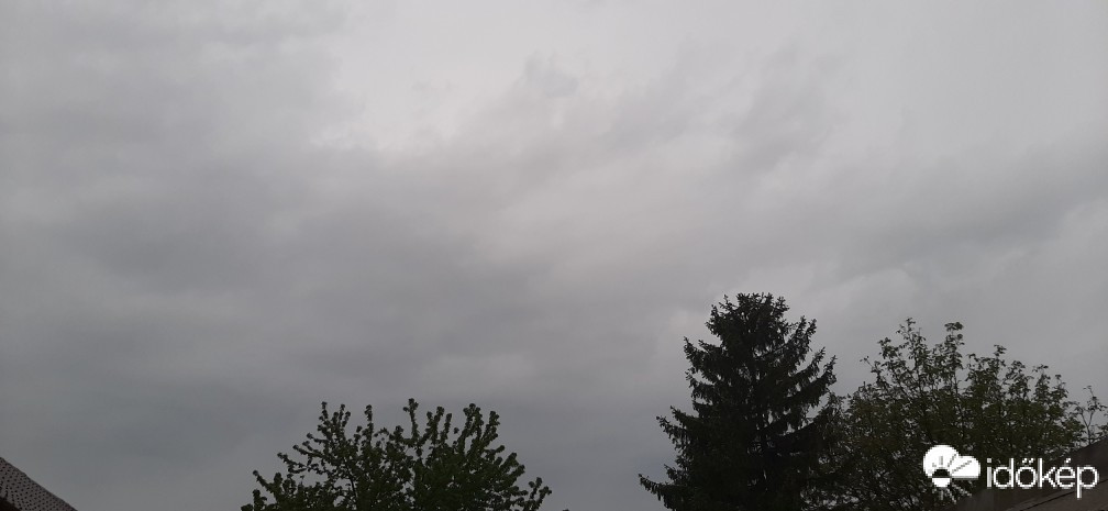 Szár