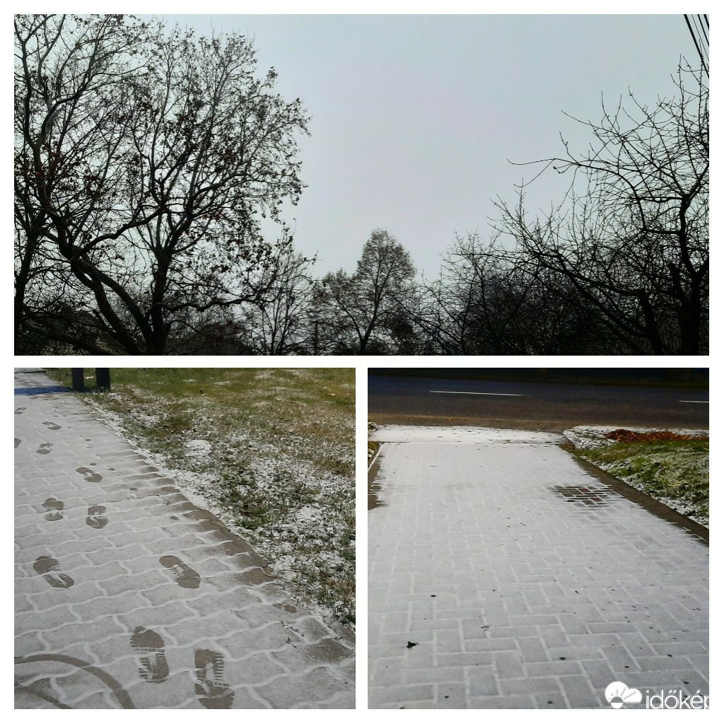 Szár