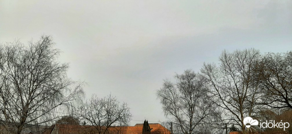 Szár
