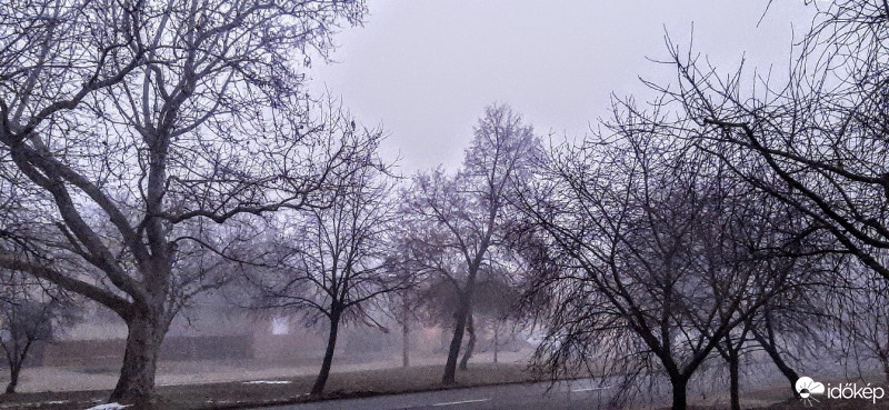 Szár