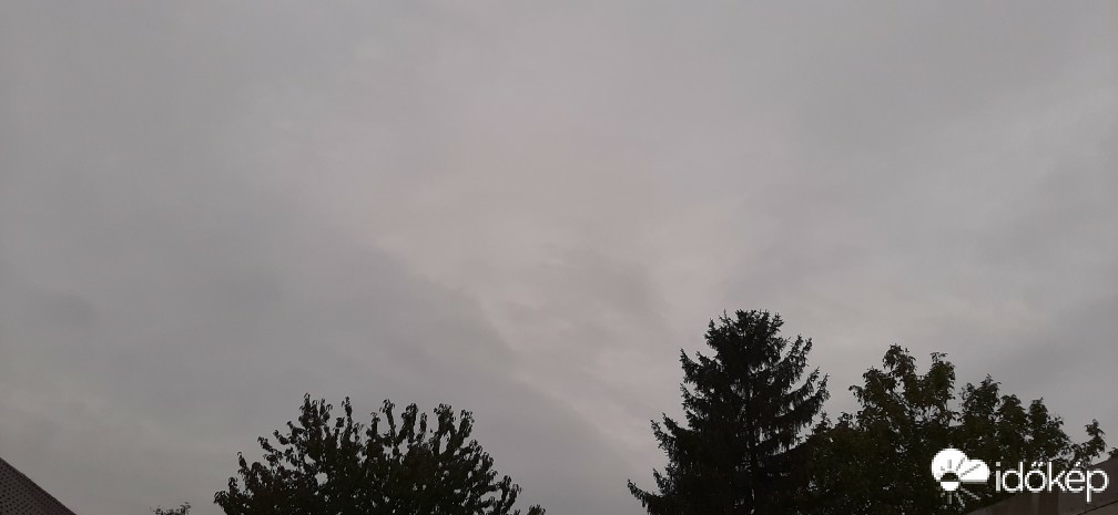 Szár