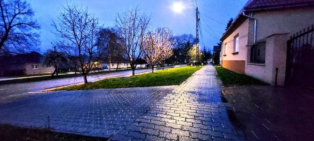 Szár