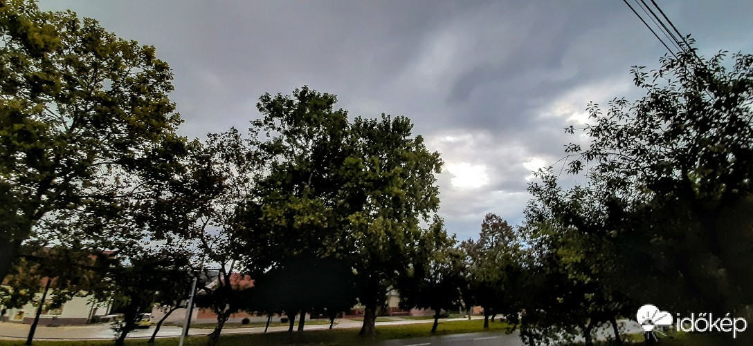 Szár