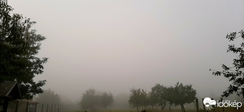 Szár
