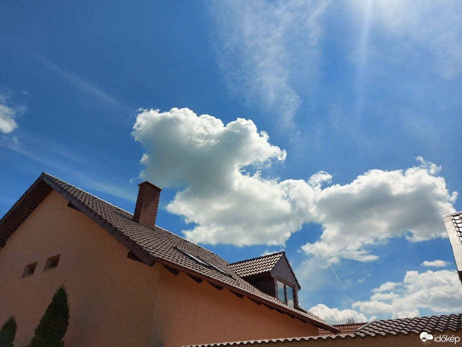 Szár