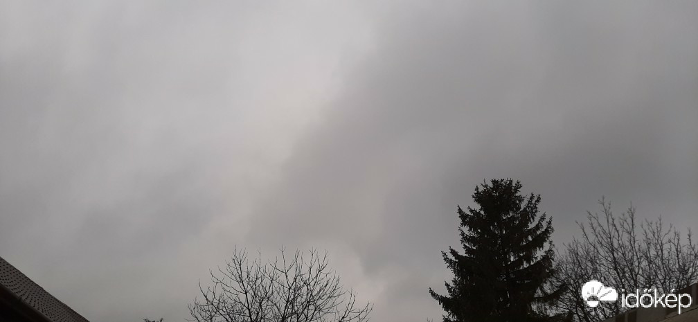 Szár