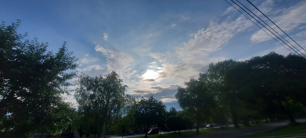 Szár