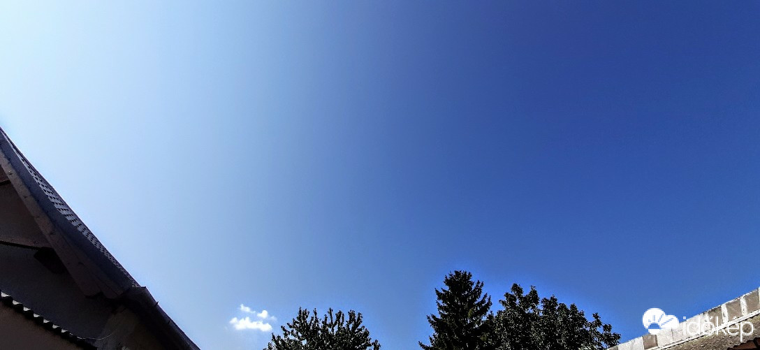 Szár