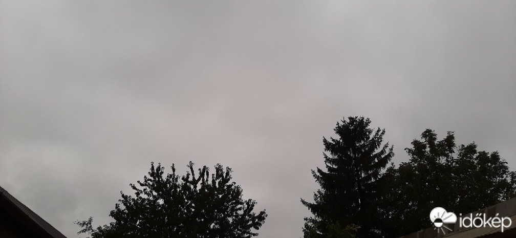 Szár