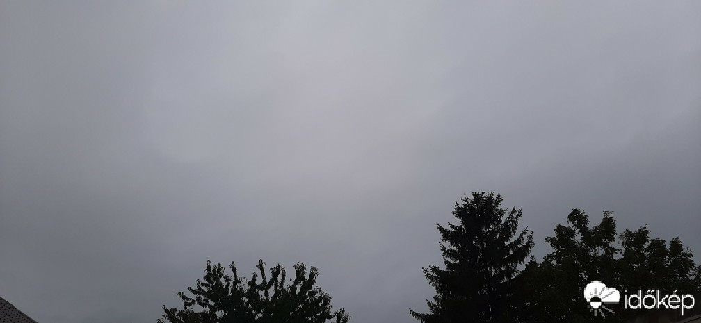 Szár