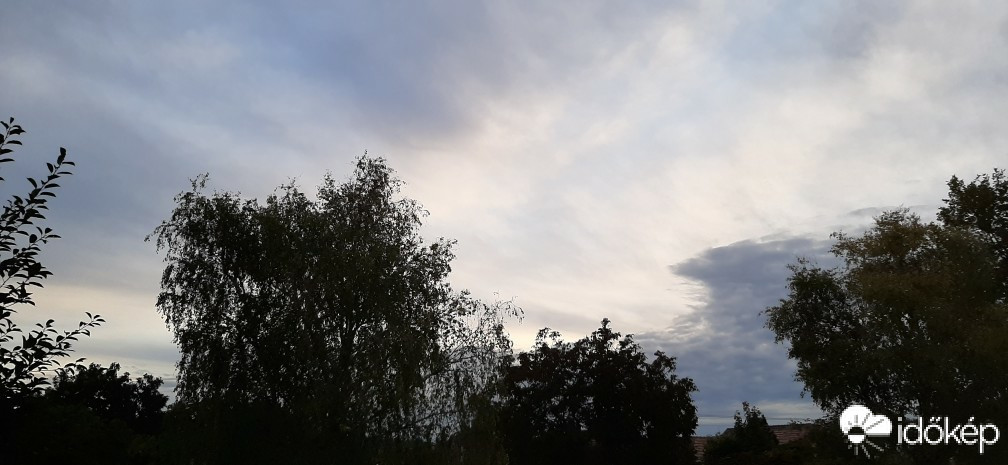 Szár
