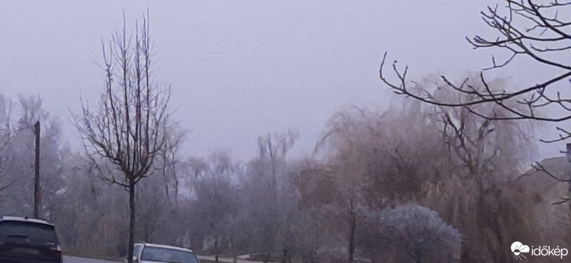 Szár