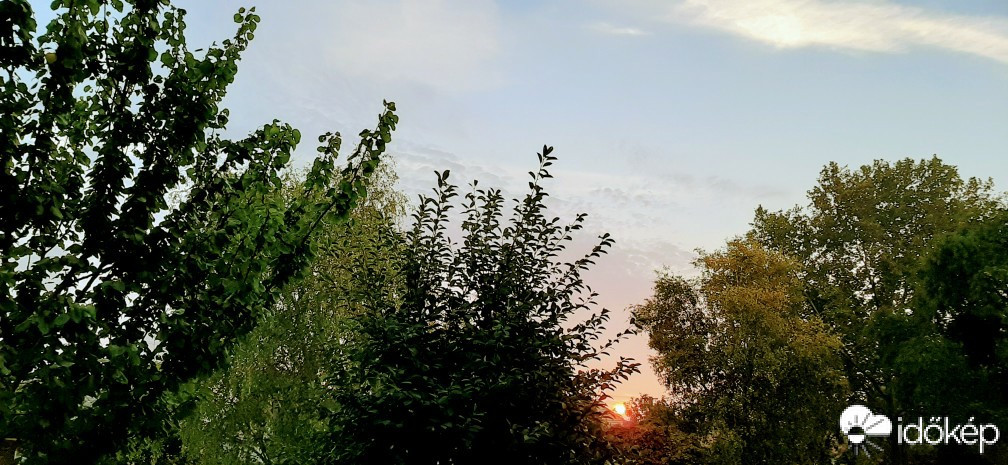 Szár