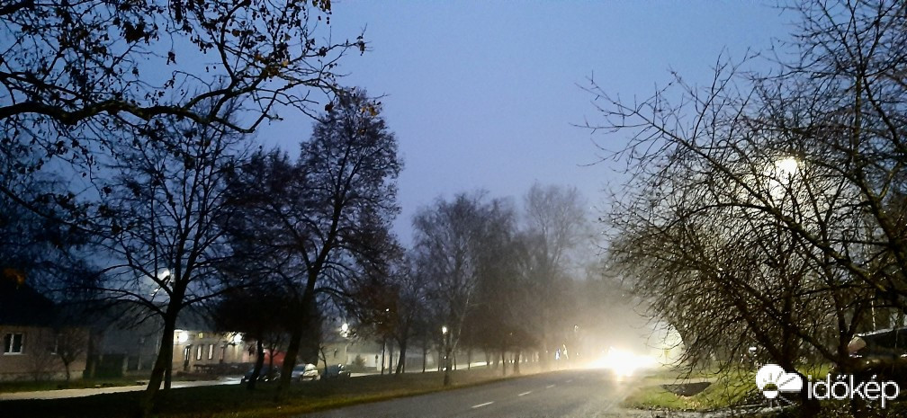 Szár