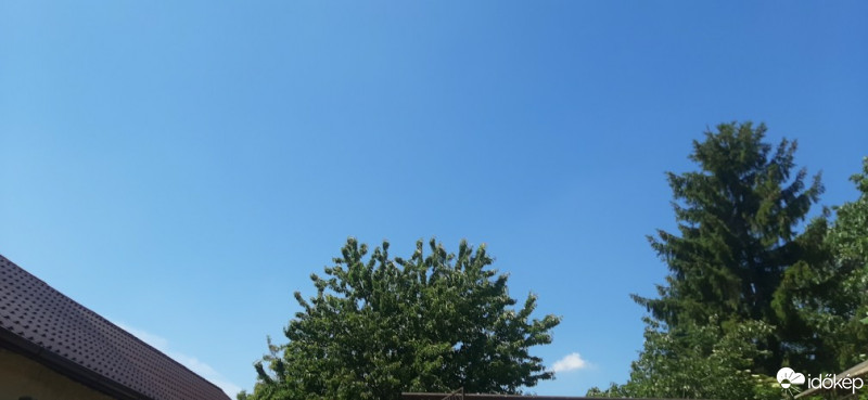 Szár