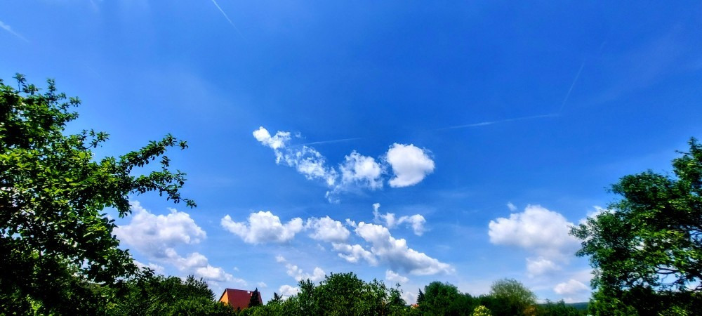 Szár