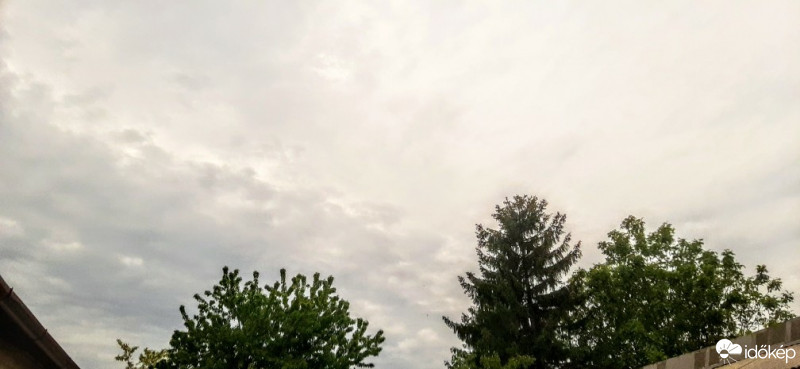 Szár
