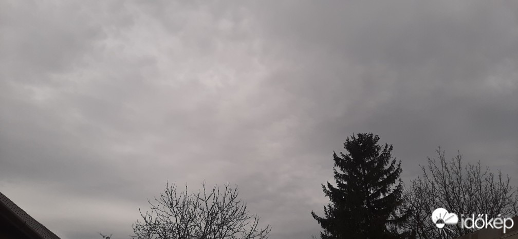 Szár