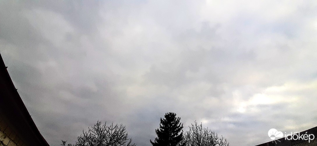 Szár