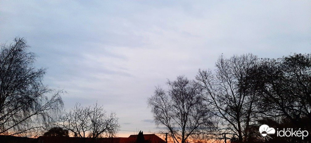 Szár