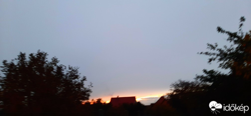 Szár