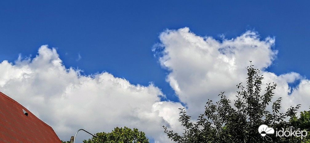 Szár