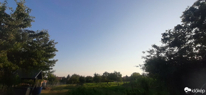 Szár