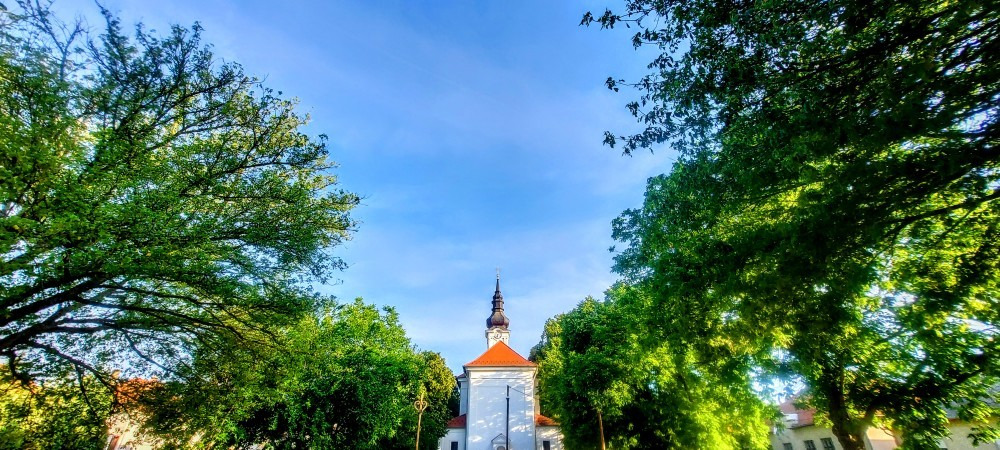 Szár