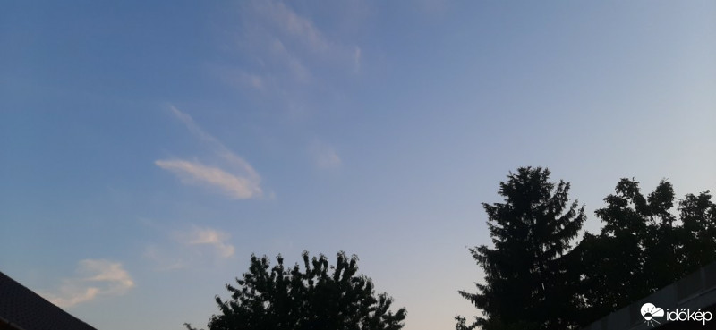 Szár