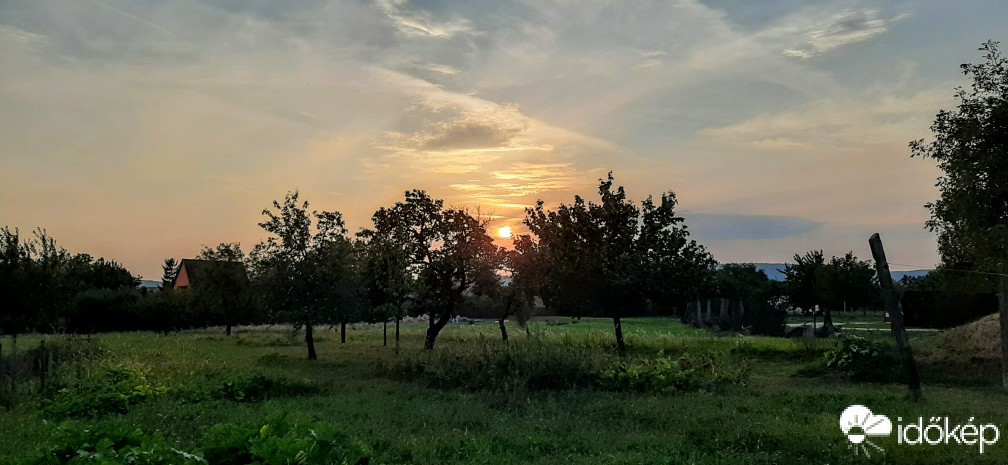 Szár