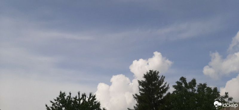 Szár
