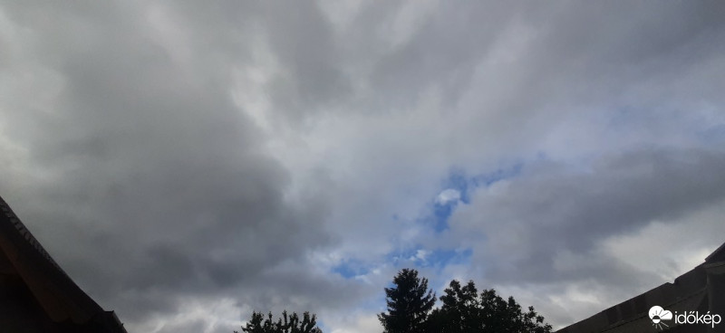 Szár