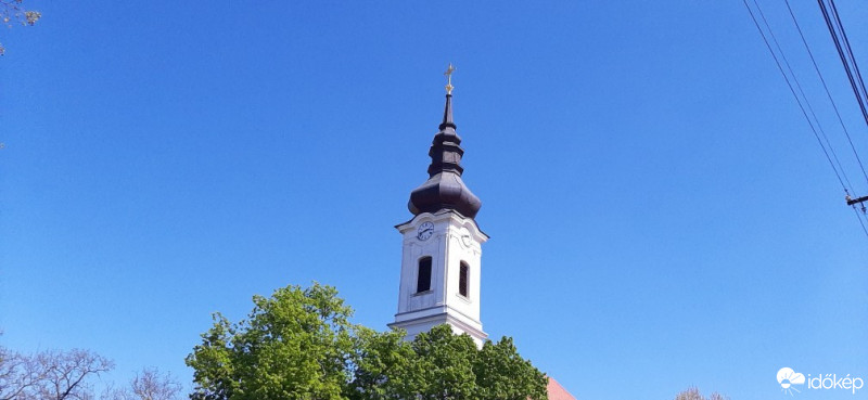 Szár