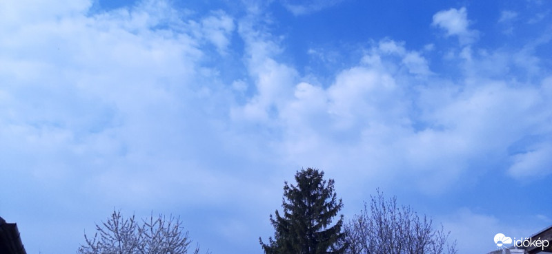 Szár