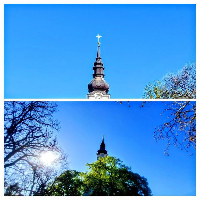 Szár