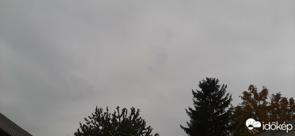 Szár