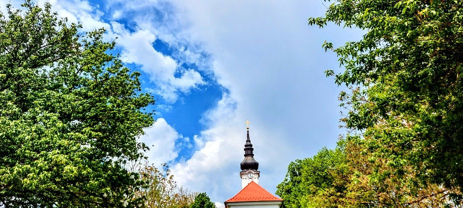 Szár