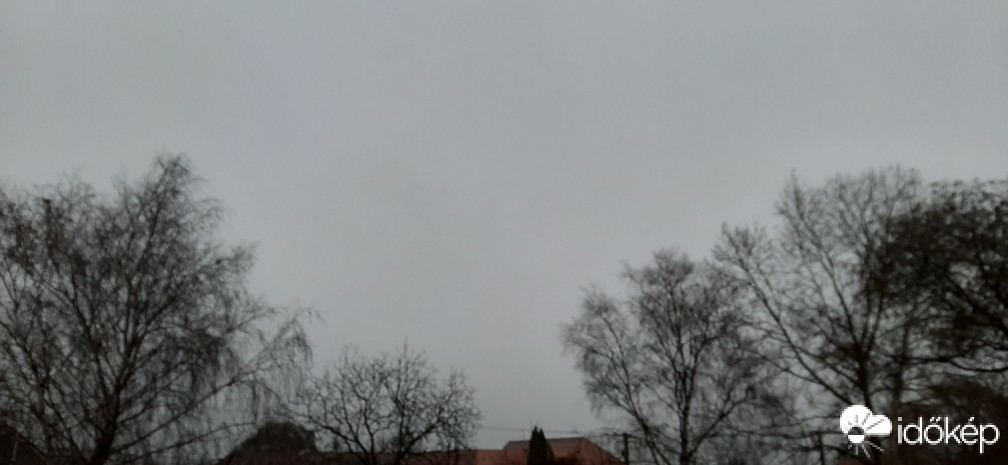 Szár