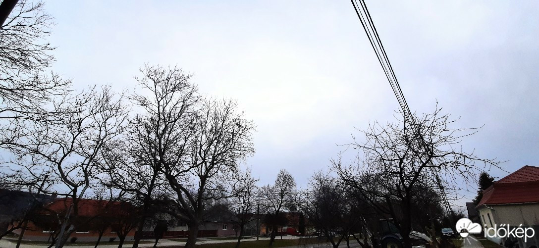 Szár