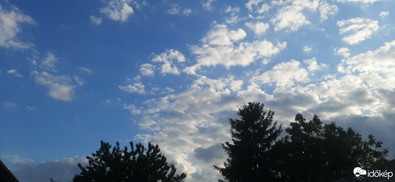 Szár