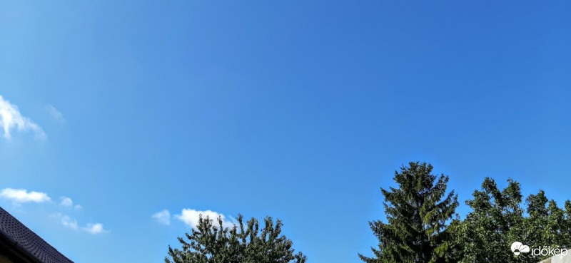 Szár