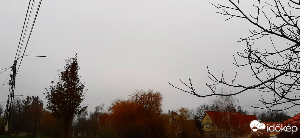 Szár