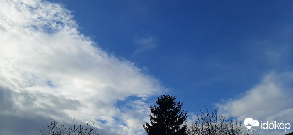 Szár