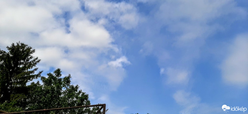 Szár