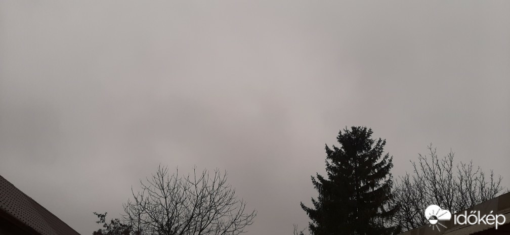Szár