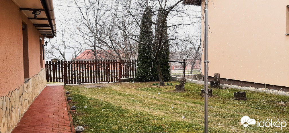 Szár