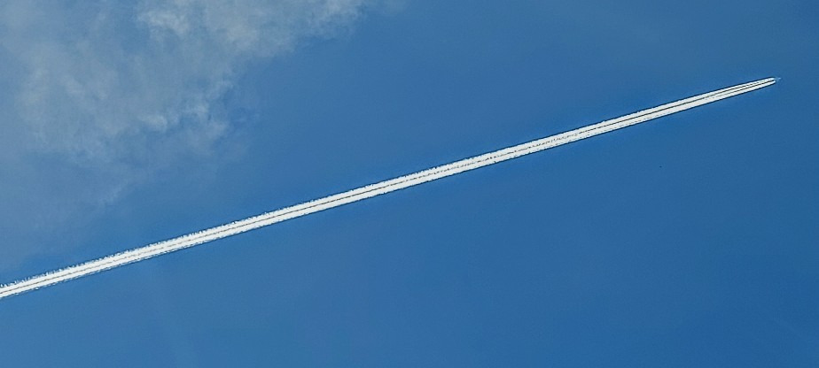 Szár