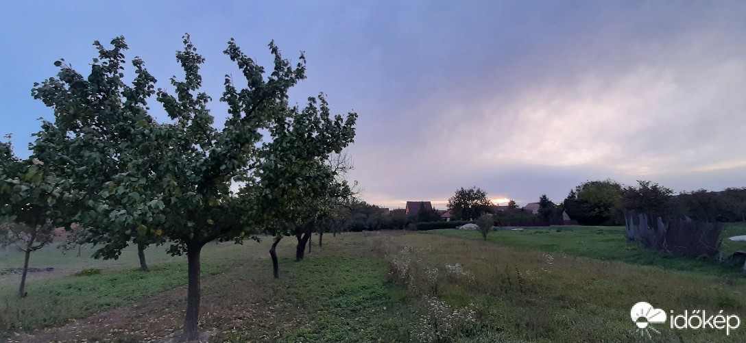 Szár