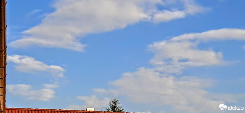 Szár