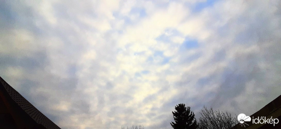 Szár